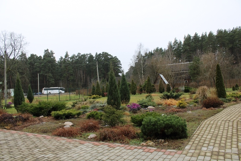 Вид на территорию с дорожки