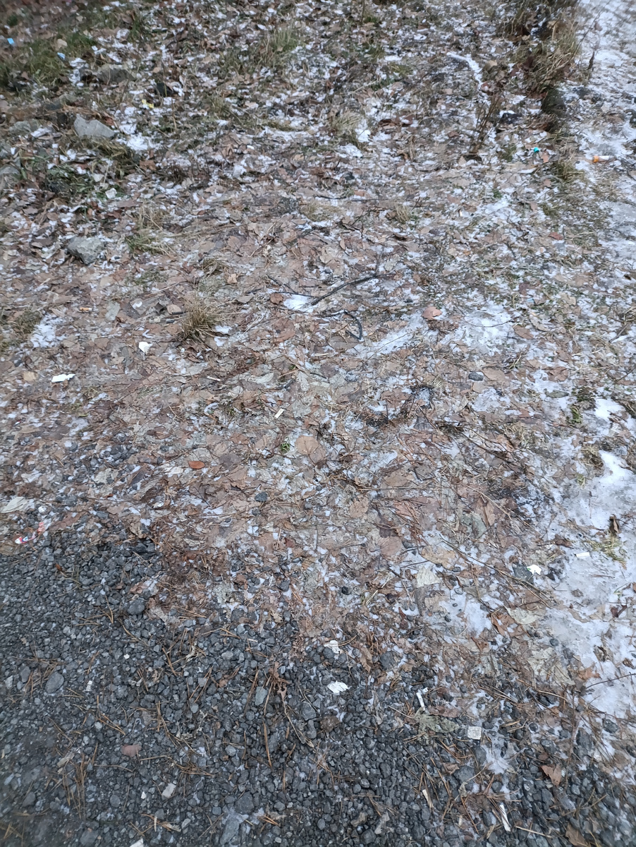 Количество снега 6 декабря