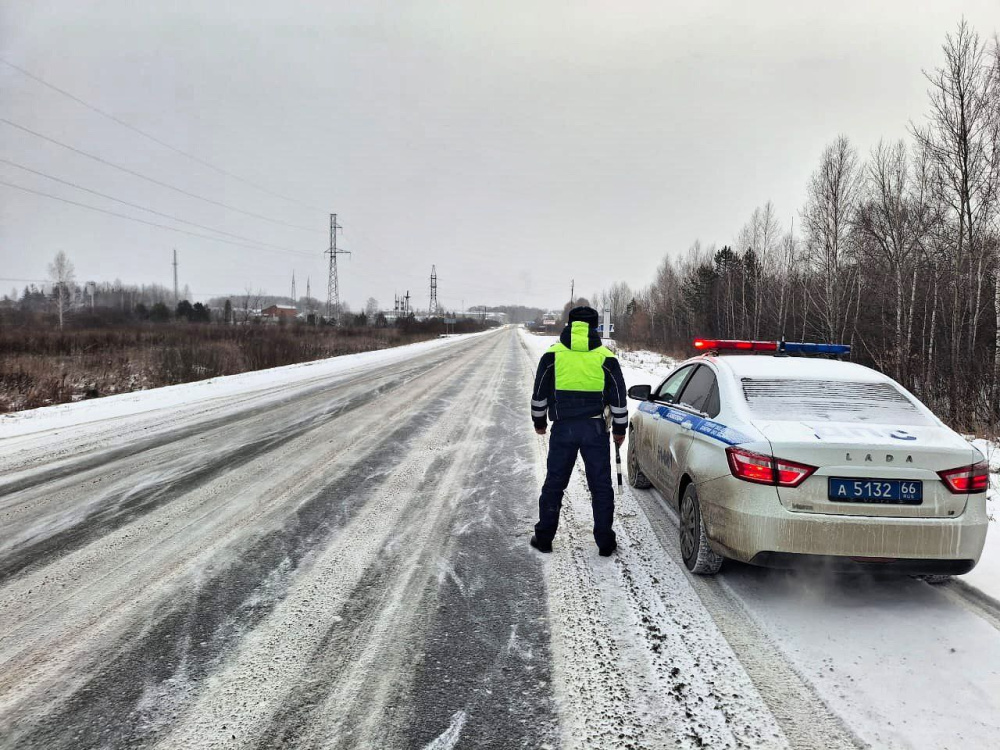     Фото: ГИБДД Свердловской области