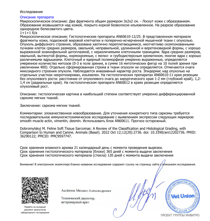 Результаты гистологии