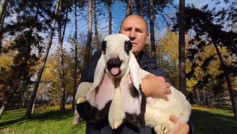    t.me/rostov_zoo_official