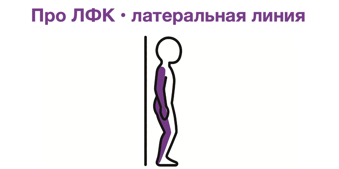 Про ЛФК • латеральная линия