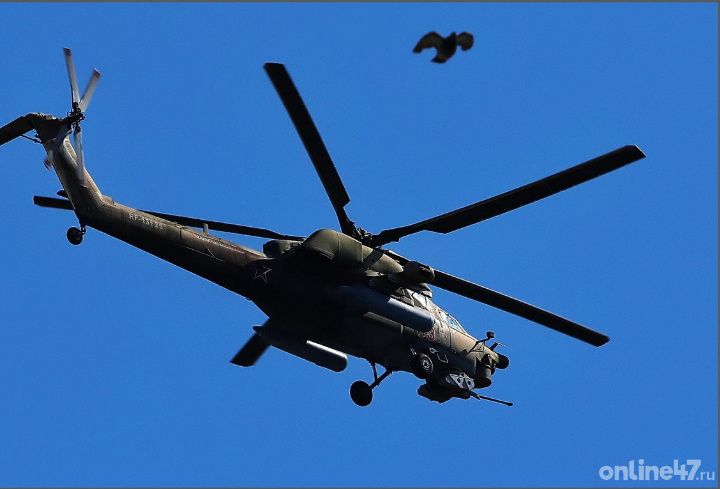 фото: Валентин Илюшин/Online47