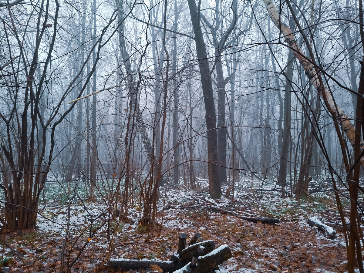 Ясенево, туман, спааааать😴