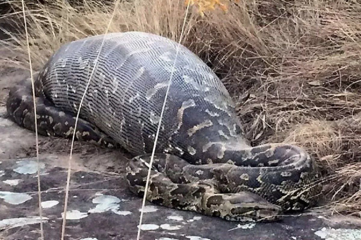 Фото с сайта: https://tgstat.ru/uz/channel/@etosher/19689