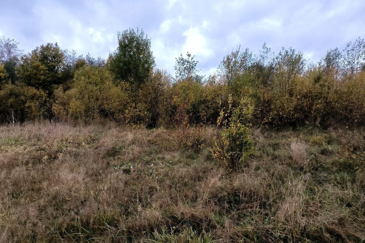     / Источник: © Global Look Press