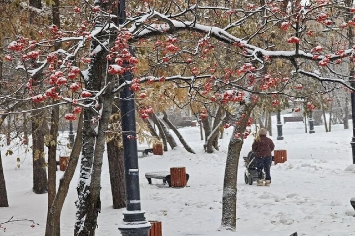    Рабочая неделя в Красноярске начнется с 30-градусных морозов