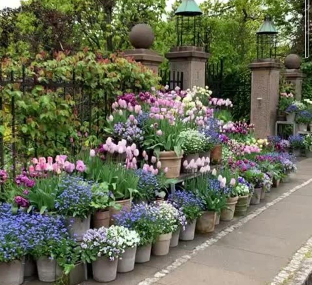 Керамические контейнеры, фото из интернета