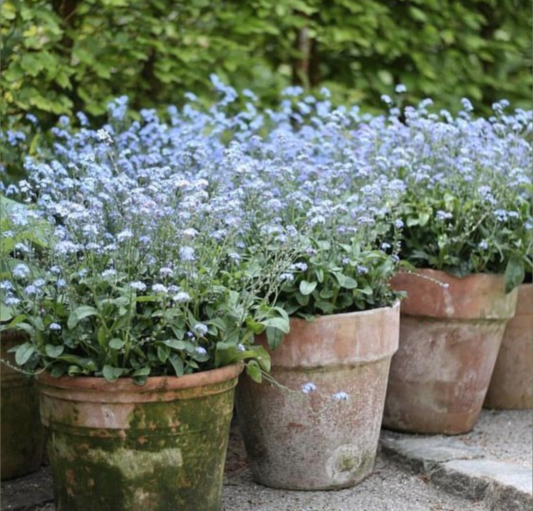 Керамические контейнеры, фото из интернета