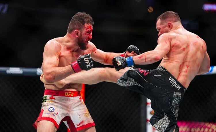    Источник фото: UFC