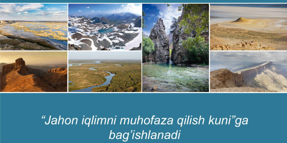 Источник: caravan-info.uz