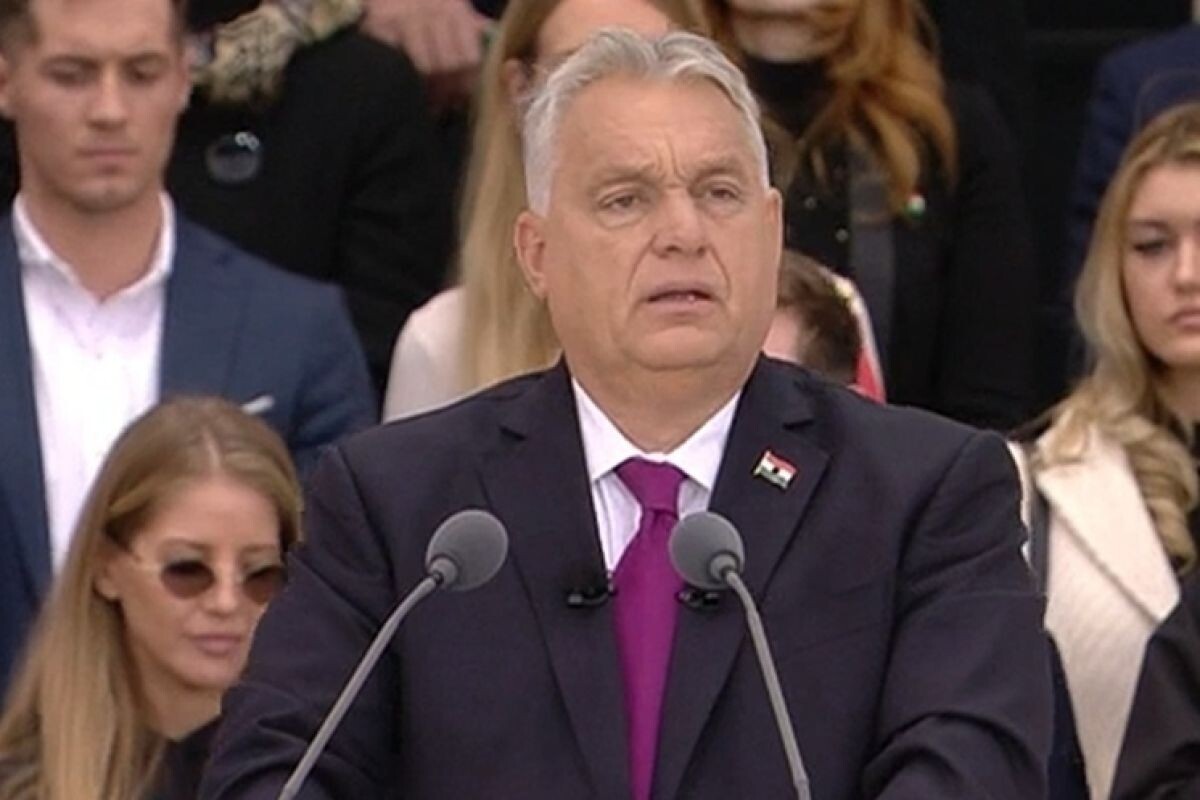    Фото: кадр из видео