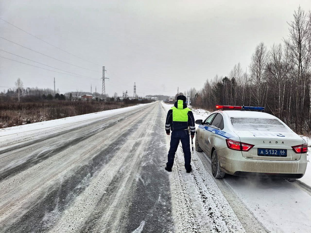     Фото: Госавтоинспекция Свердловской области
