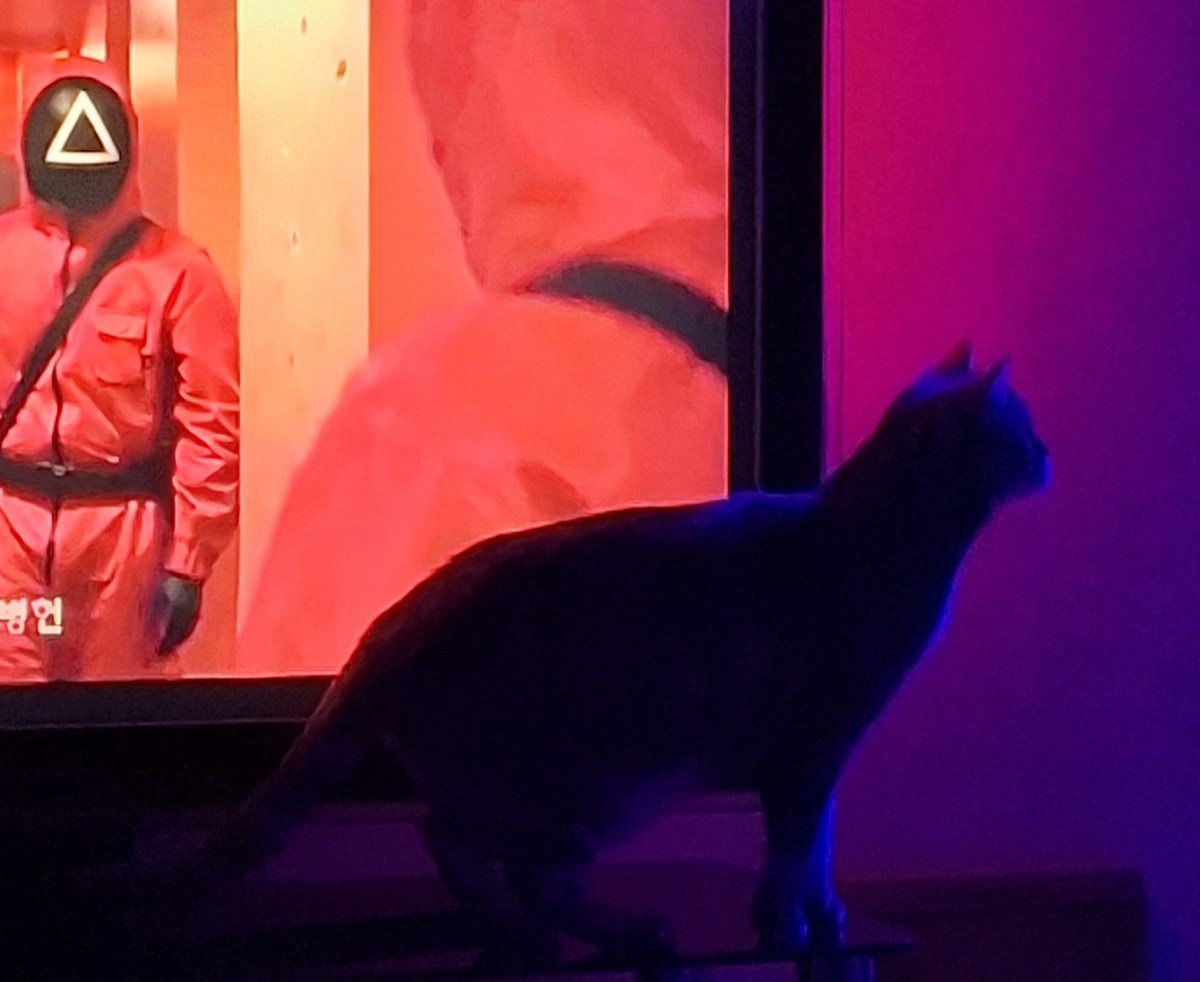 и мчусь вместе с ней.