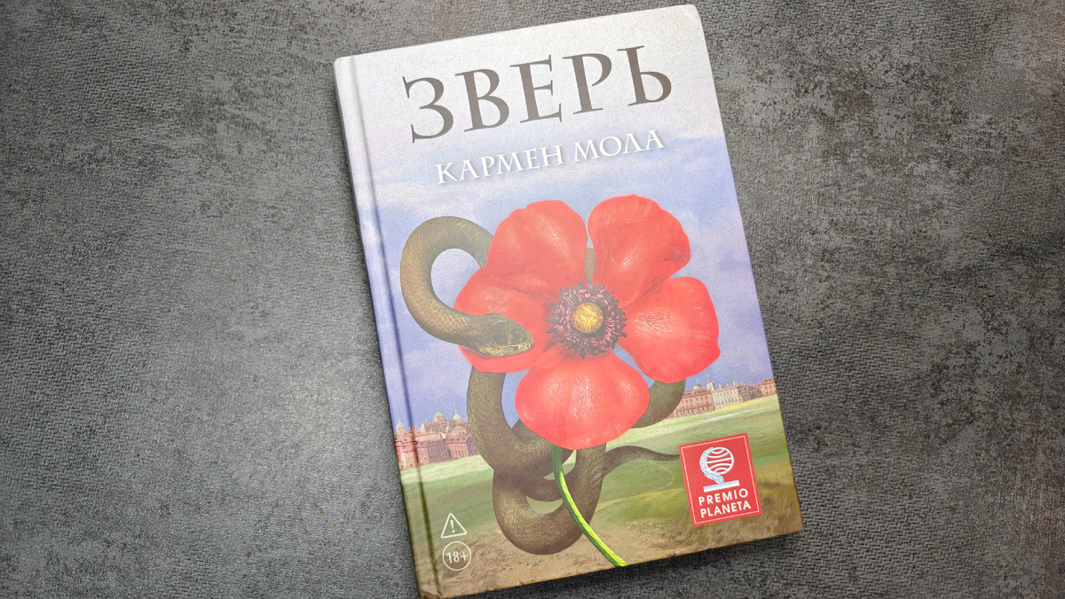 Твердая обложка, издательство «Синдбад»