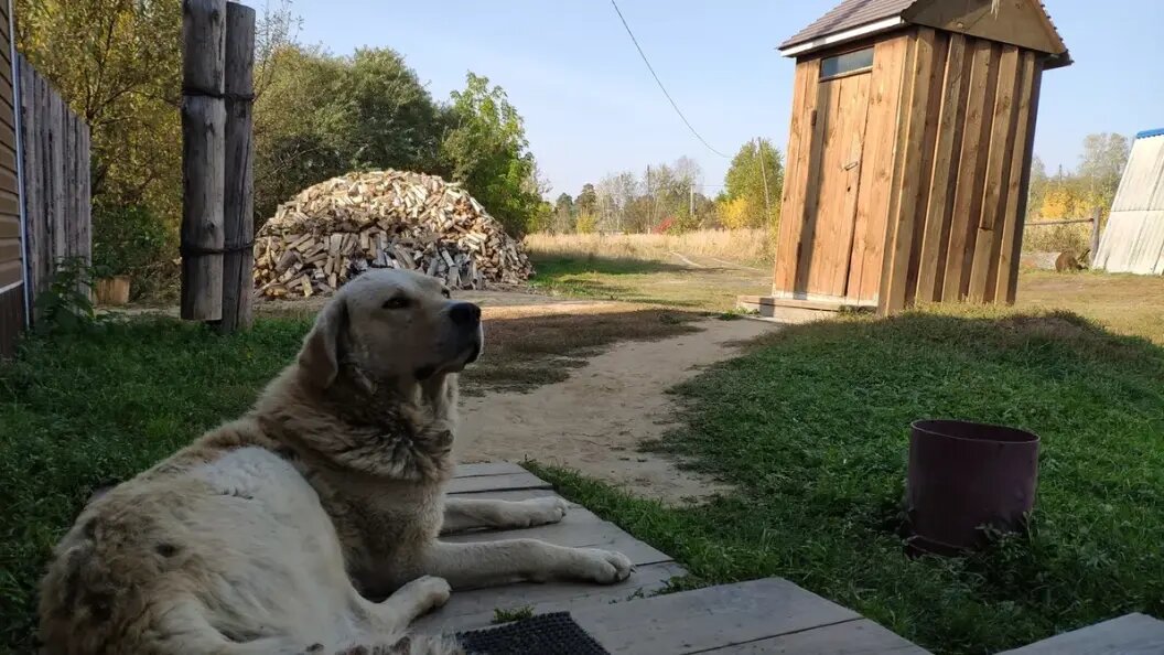    Фото: Царьград/Олег Руковицын