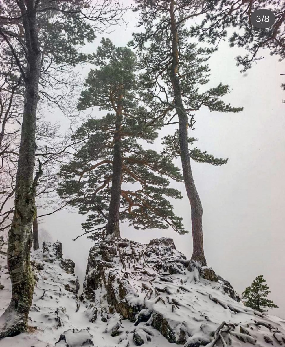 В Адыгее выпал снег. Фото из открытых источников.