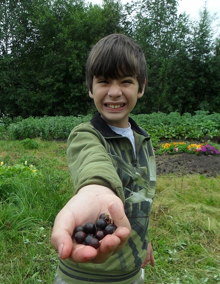 На этом фото 2009 года Фима угощает меня смородиной, рассказывает, что я поросёнок и учит, как правильно хрюкать. фото из личного архива автора
