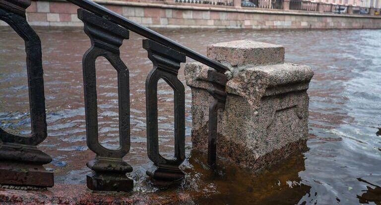 МЧС: в Петербурге один человек погиб при падении автомобиля в воду