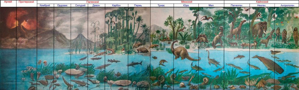 Архейская, протерозой, палеозой Эра таблица