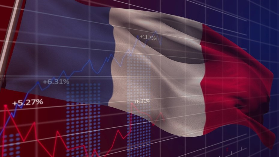 Автор фото: vectorfusionart/Shutterstock/FOTODOM 