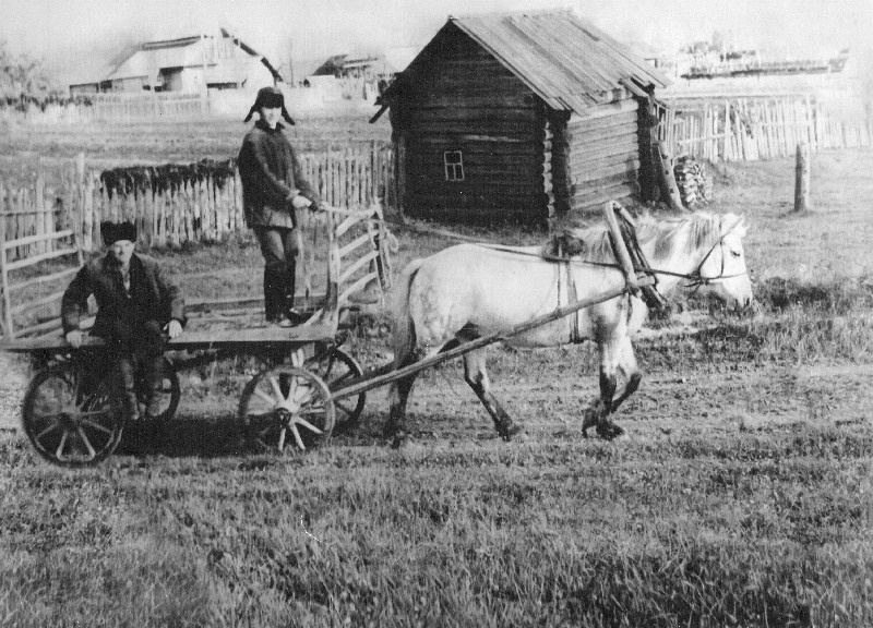 Автор - Голубев М.М. 1967 год