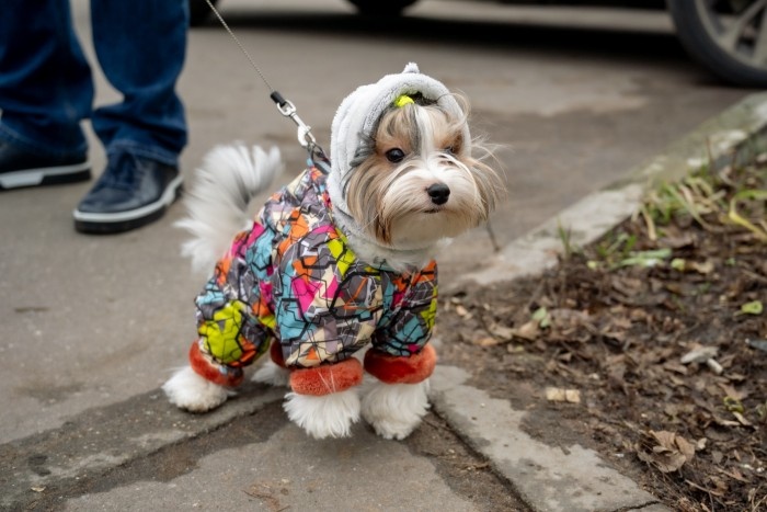    Фото: Юлия Федотова