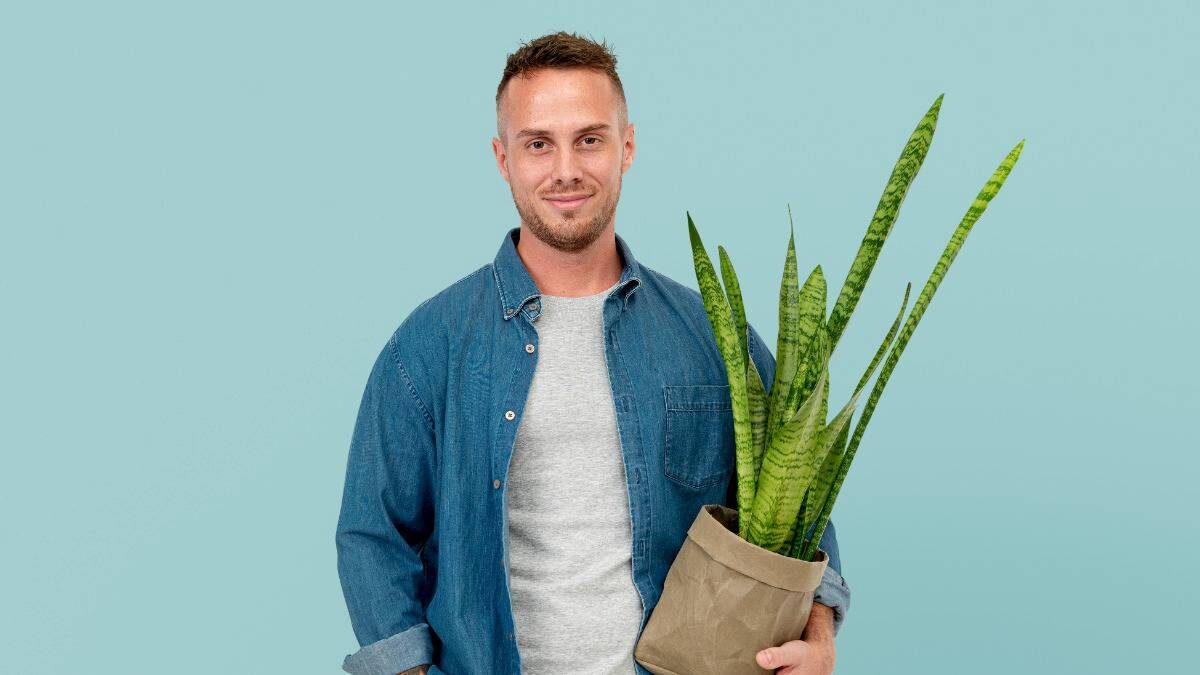    Фото: Shutterstock