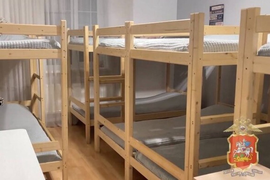    Фото © Telegram / Подмосковная полиция