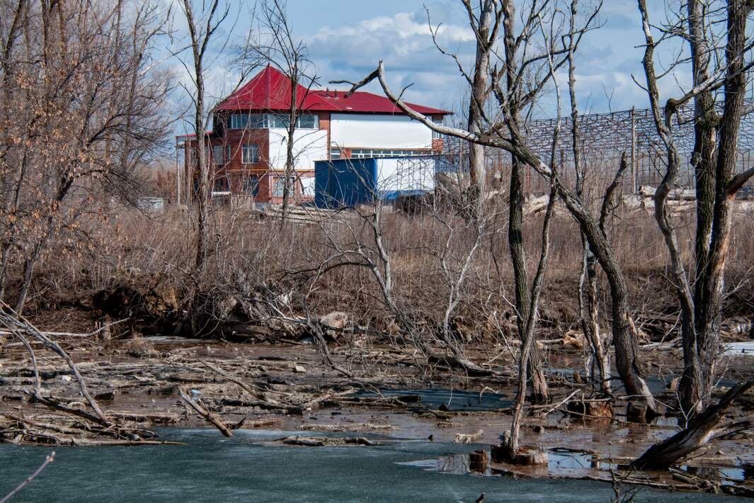 Фото: Global Look Press/Svetlana Vozmilova