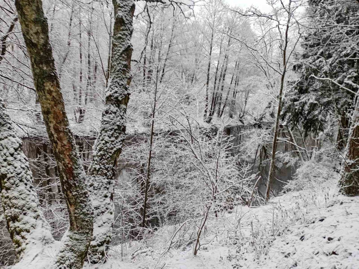 © Радугамира