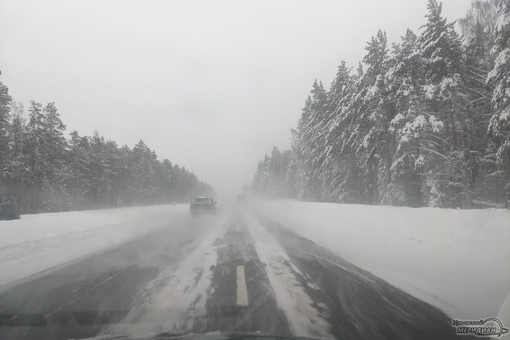    Фото: Ольга Аникина, ИА "Уральский меридиан"