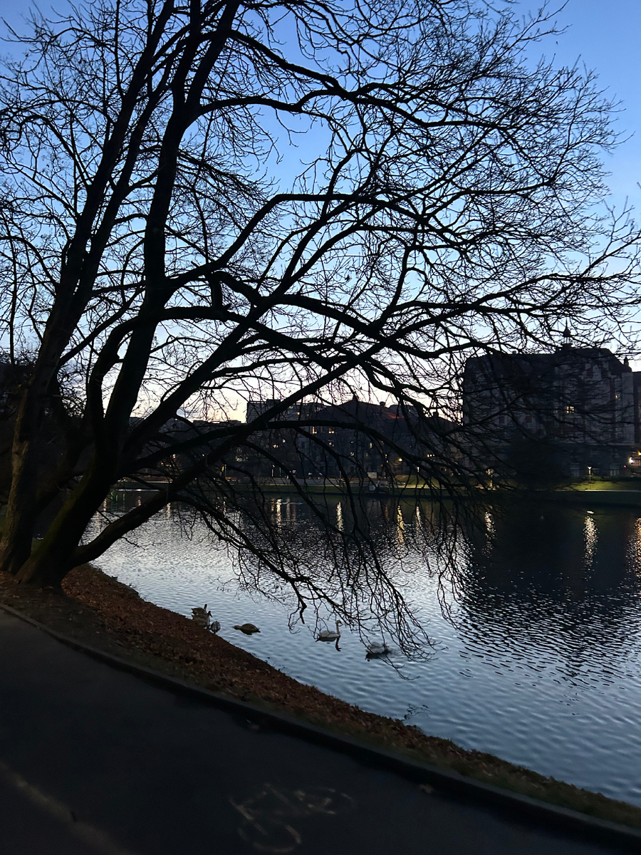 Счастье в простом. У меня это ежедневная прогулка в школу по набережной озера.
