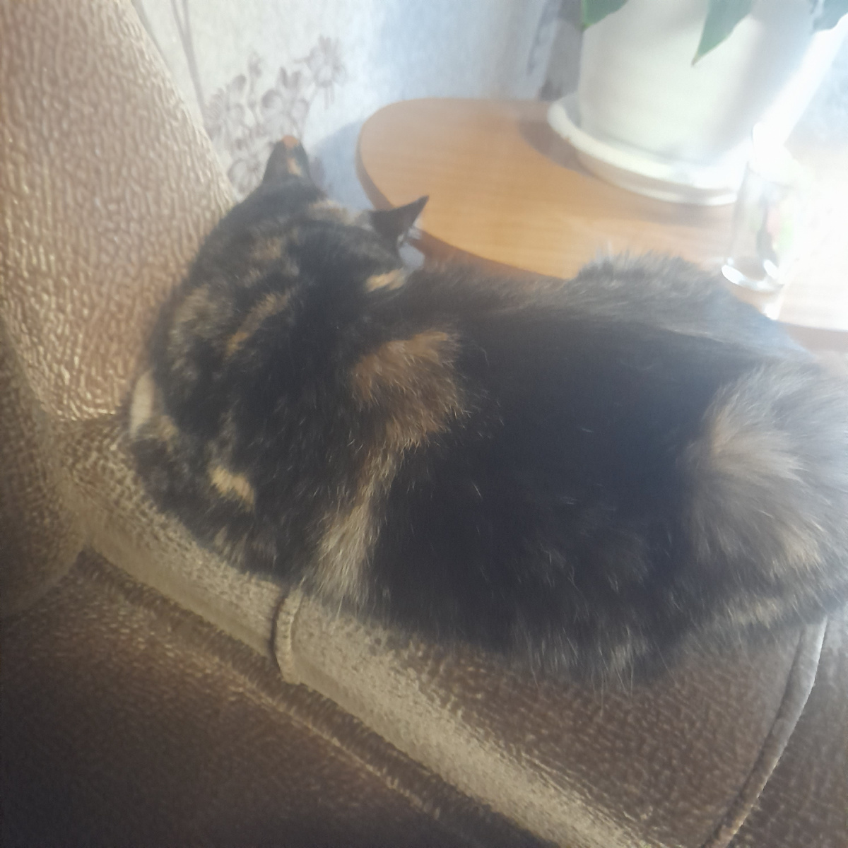 Лизка примостилась.