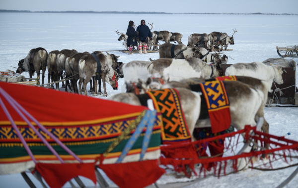 Фото: РИА Новости