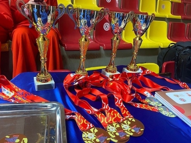     Фото: cherinfo.ru