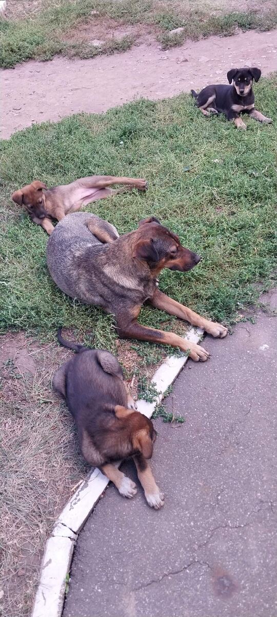 Фото из личного архива волонтёров