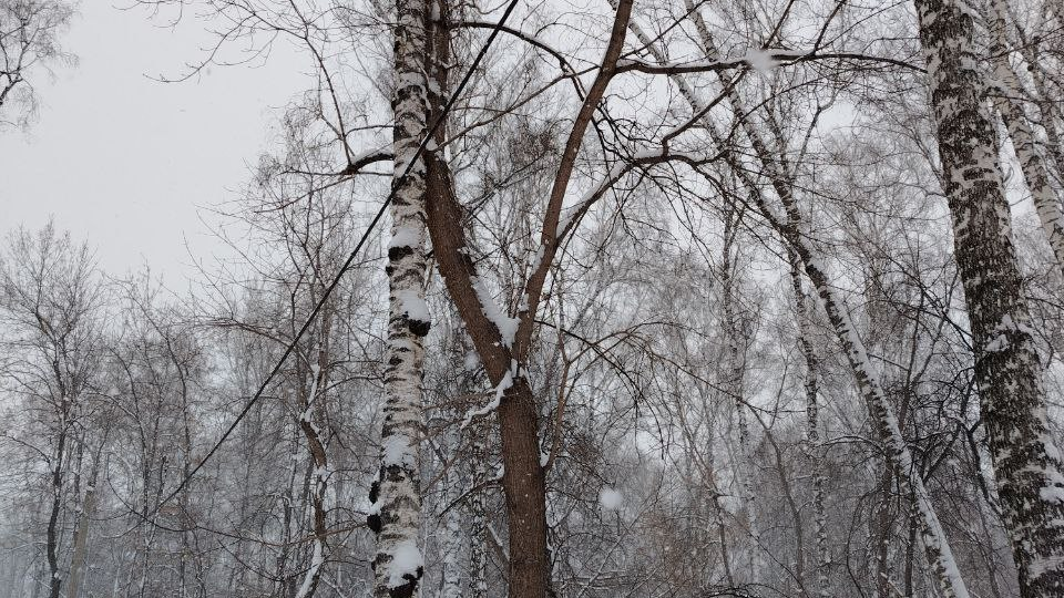 Несанкционированные объятия.