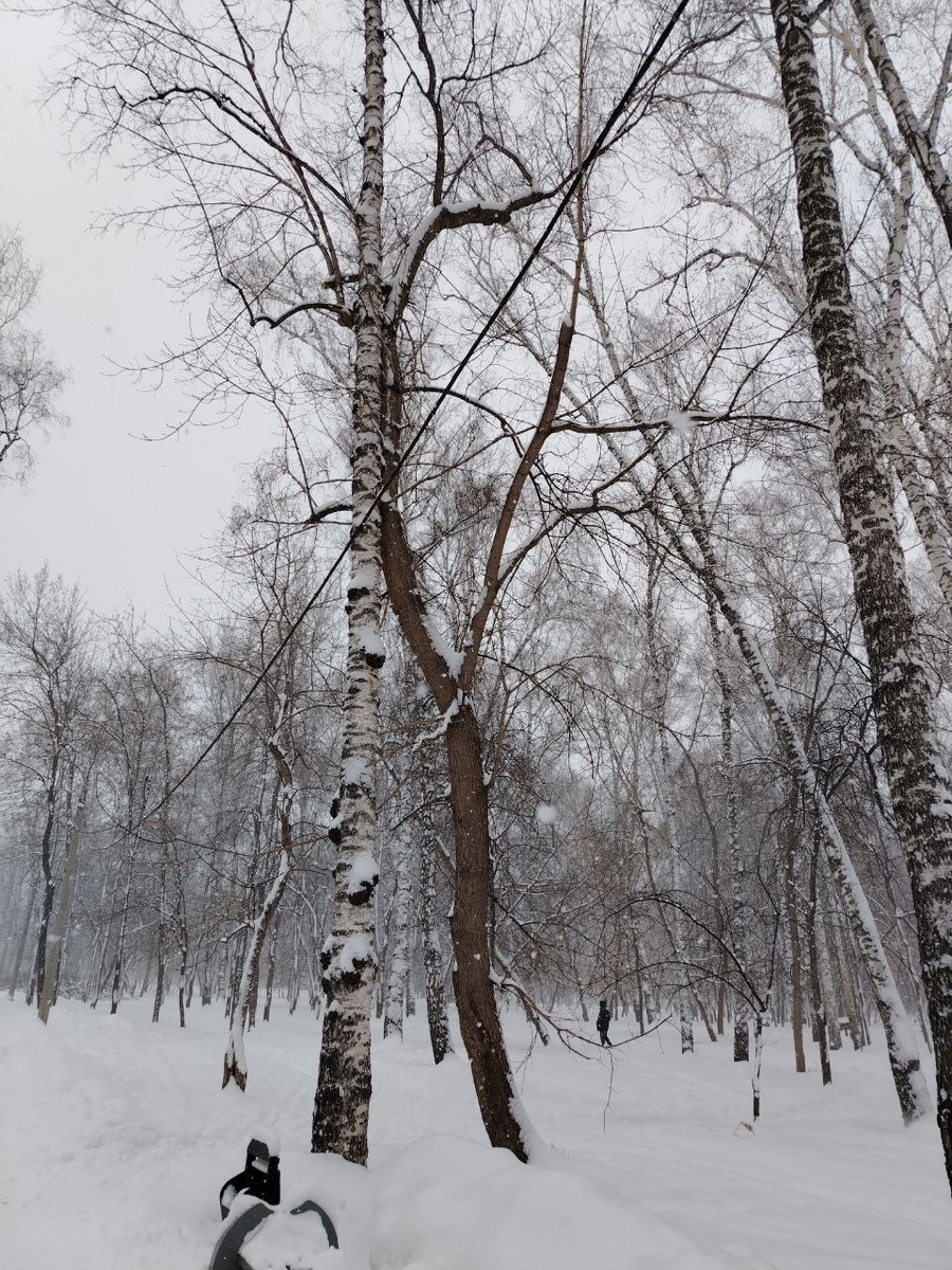 © Радугамира 