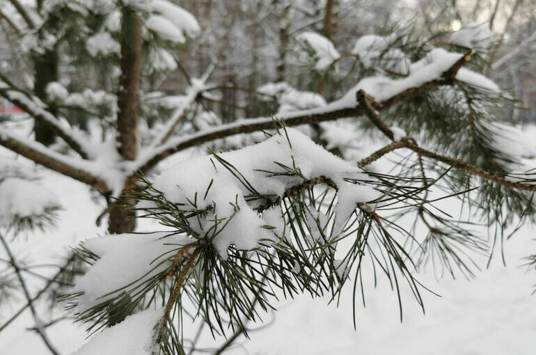   Игорь Самохвалов/«Парламентская газета»