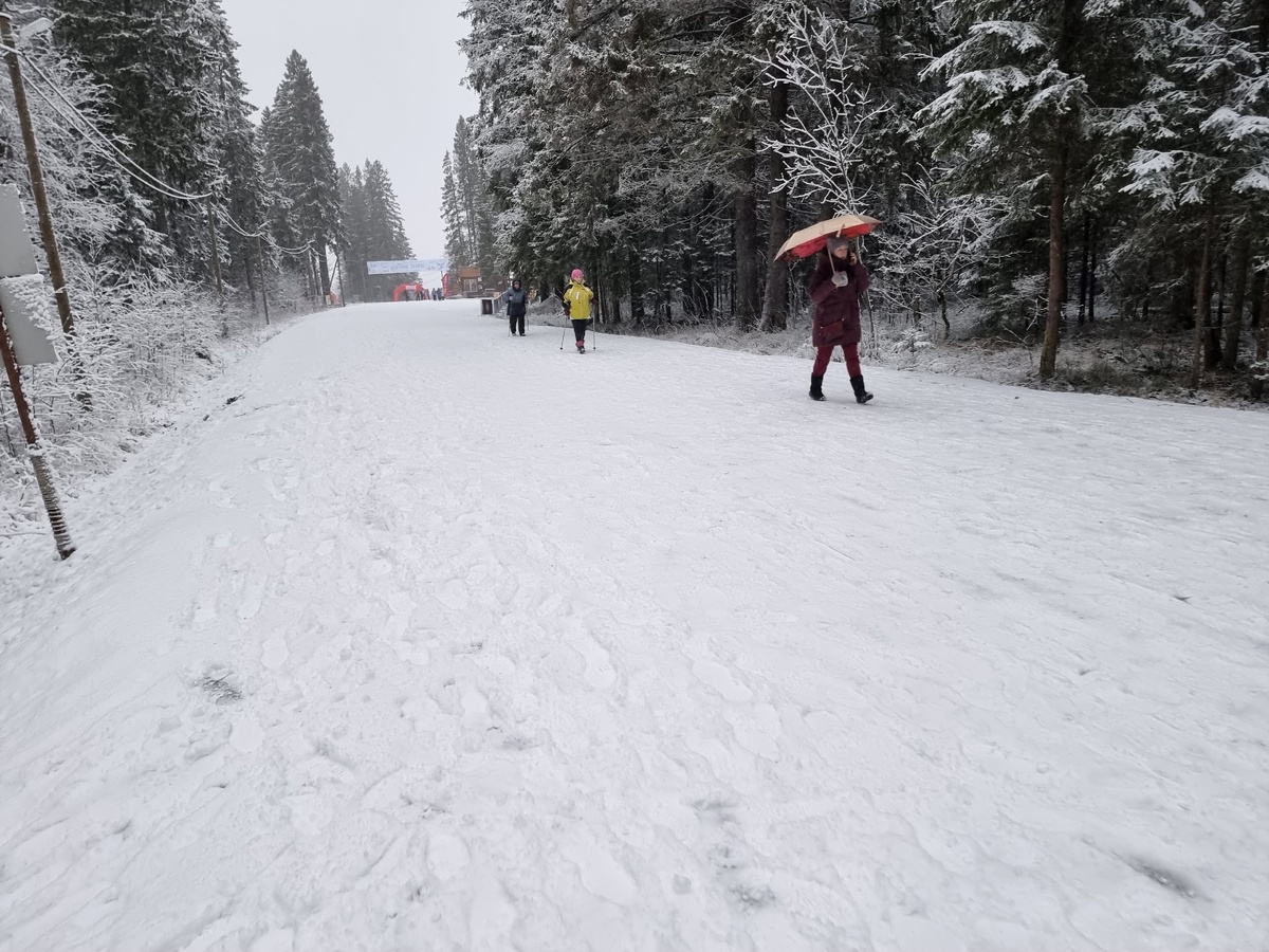    Ирина Яковлева