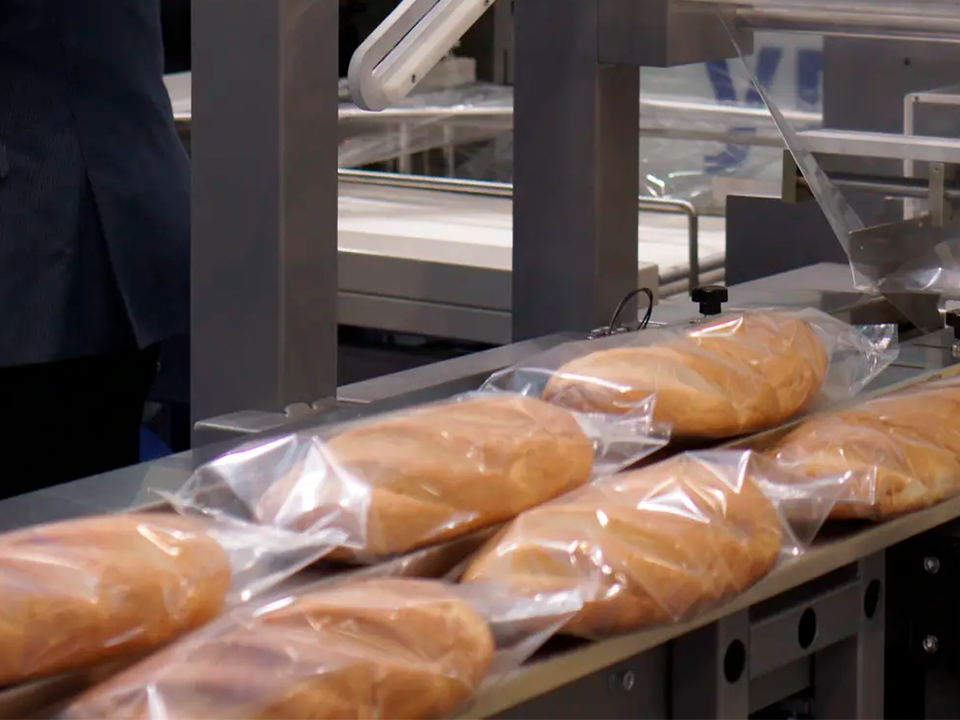    Фото: REGIONS/Дарина Левкина