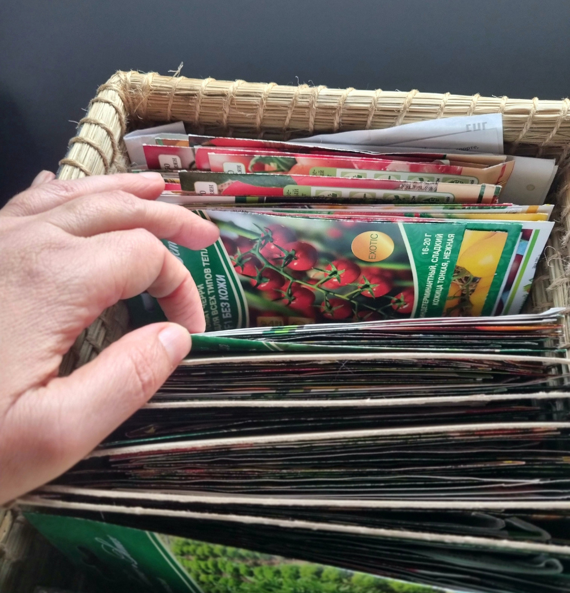 Фото: Зеленая леди, сад, семья и томатный сок 