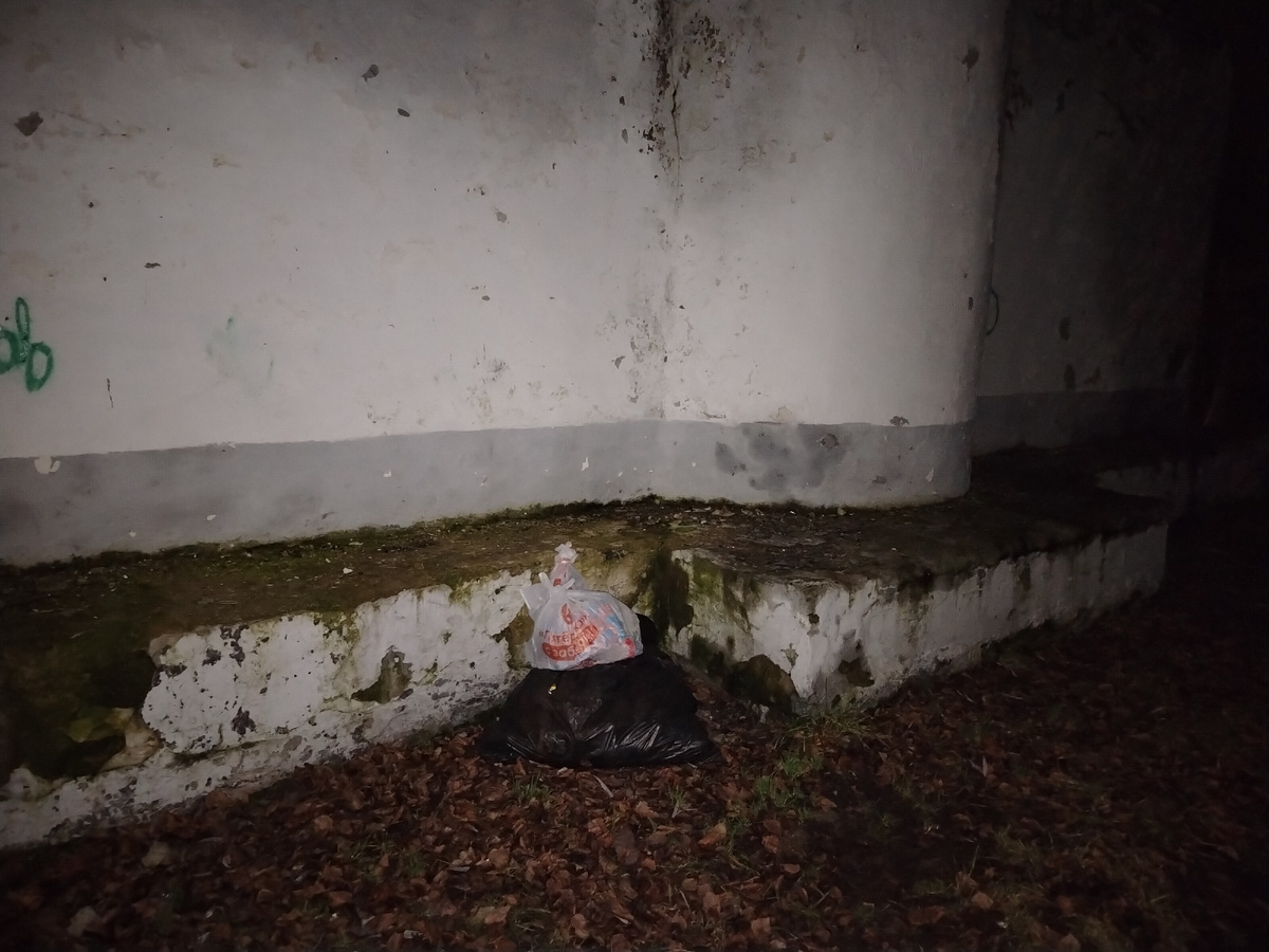 Задняя часть постамента. 