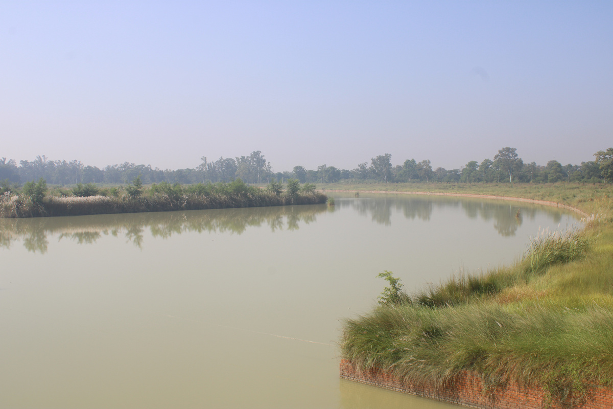 Каналов много, все выкопаны недавно
