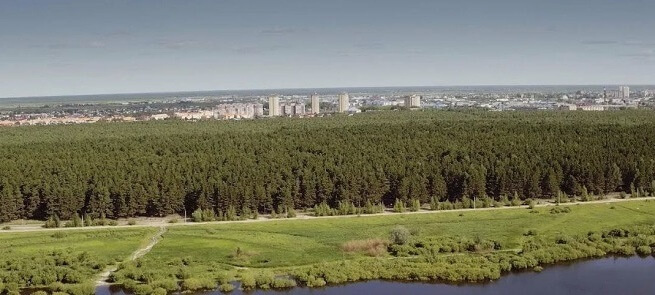 Лесопарк им. Ю. Гагарина,