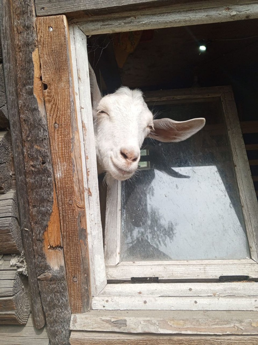 фото из личного архива