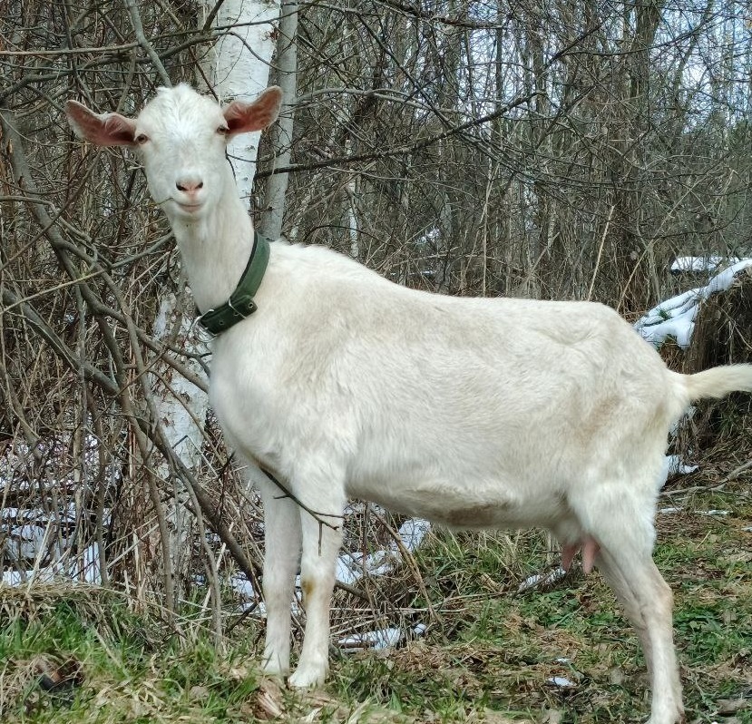 фото из личного архива