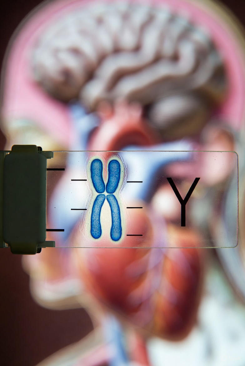 изображение ИИ