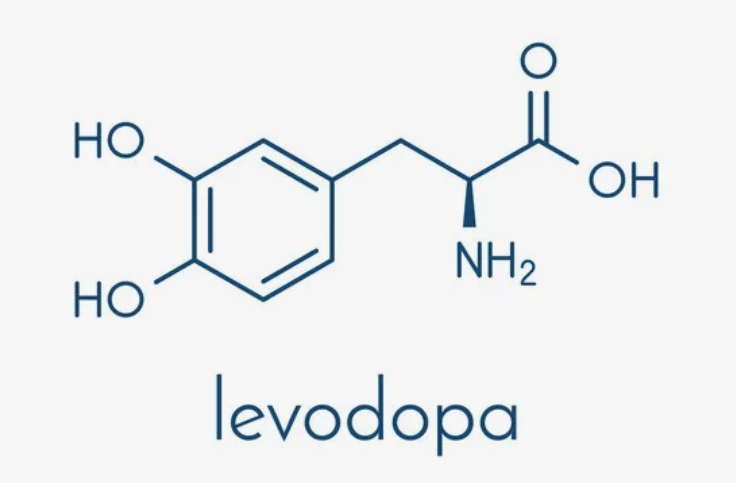 Леводопа: как лекарство-спаситель стало мишенью для страха. История, которую должен знать каждый пациент с Паркинсоном.